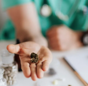 Position available: HERBALIST / HERBAL MEDICINE Job, Perth