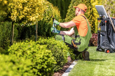 ADZ Landscapes and Construction Landscaper